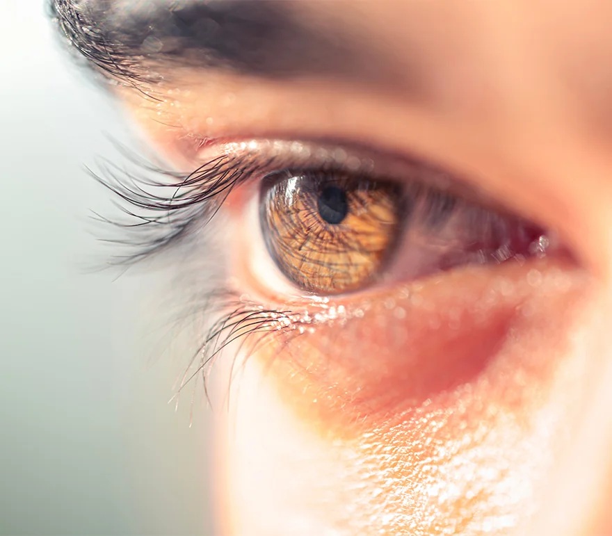 Bright light shining in brown eye