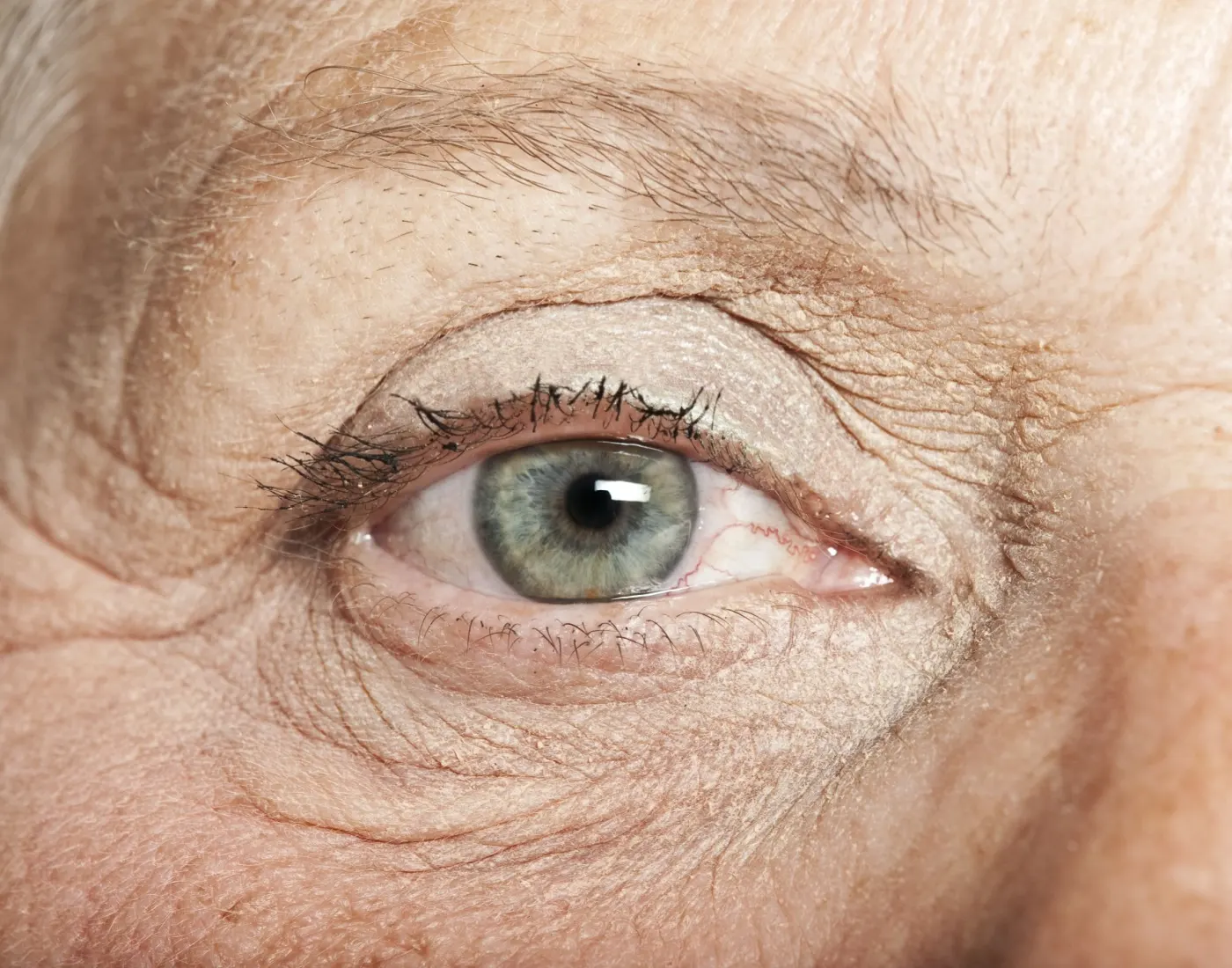 close up of a senior woman