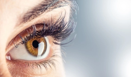 close up of a woman's brown eye