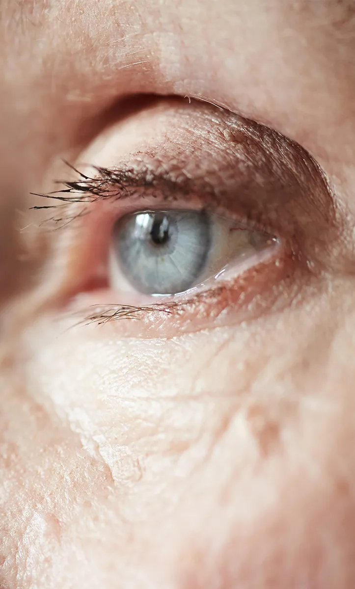 elderly blue eye up close
